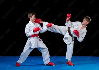 COBRA KAI 10-11 anni